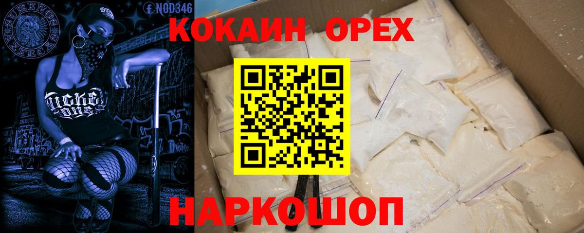 Альфа ПВП Елизово