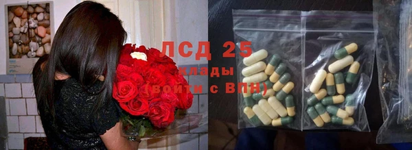 хмурый Дмитриев