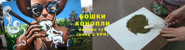 хмурый Дмитриев