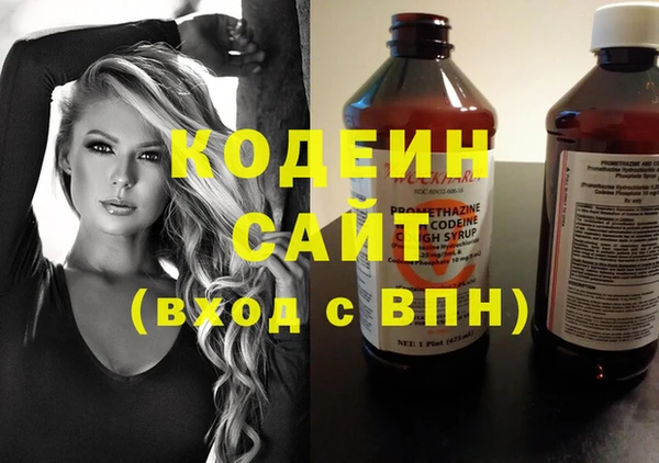 хмурый Дмитриев