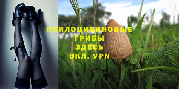 хмурый Дмитриев