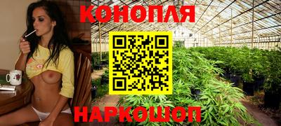 соль ск Заводоуковск