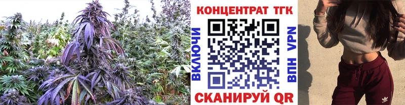Дистиллят ТГК жижа Елизово