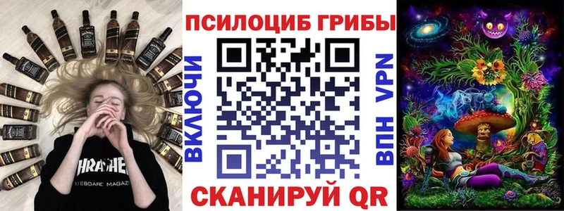 omg как зайти  Елизово  Галлюциногенные грибы MAGIC MUSHROOMS 