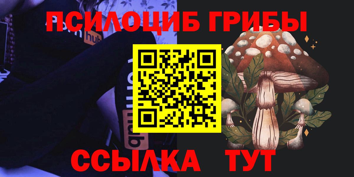 Елизово  Псилоцибиновые грибы GOLDEN TEACHER  Галлюциногенные грибы Psilocybine cubensis  Вход с VPN 